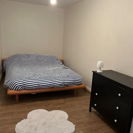 公寓 Maison Triplex Centre De